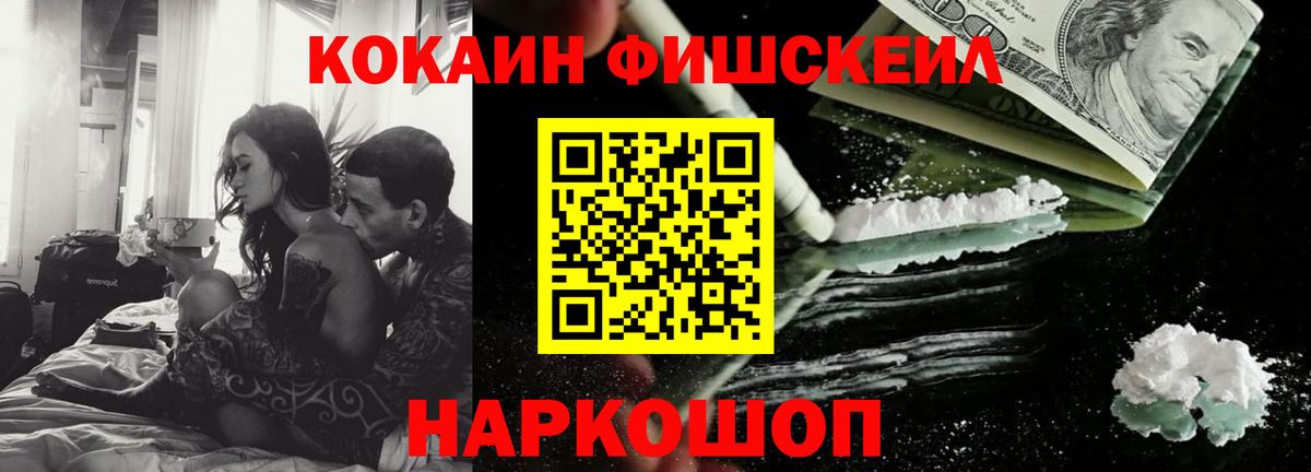 ГАШ Электрогорск