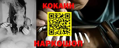 МДПВ Кингисепп