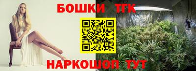 МДПВ Кингисепп