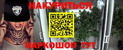 Альфа ПВП Бийск