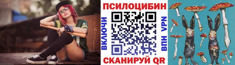 даркнет сайт  Электрогорск  гидра как зайти  Галлюциногенные грибы GOLDEN TEACHER 