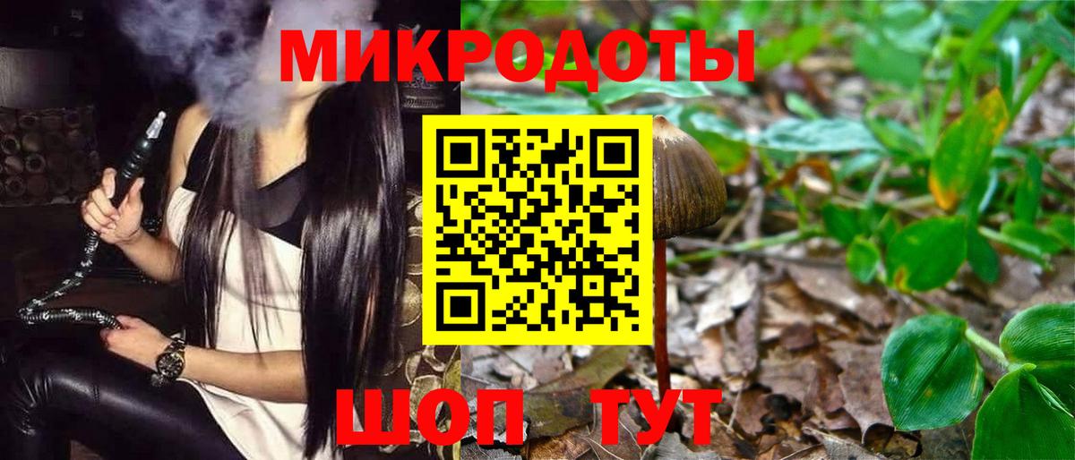 Галлюциногенные грибы прущие грибы Электрогорск
