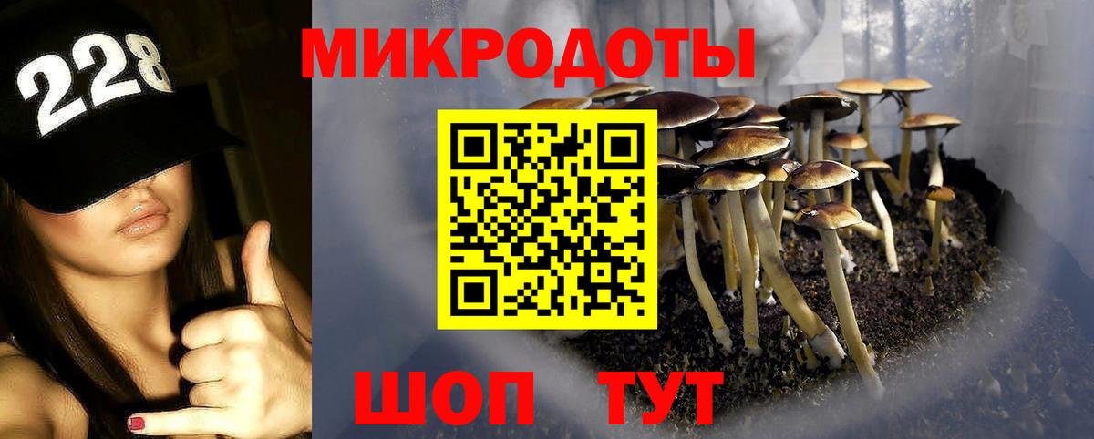 Галлюциногенные грибы Psilocybine cubensis  Псилоцибиновые грибы ЛСД  наркошоп  Вход с VPN  Электрогорск 