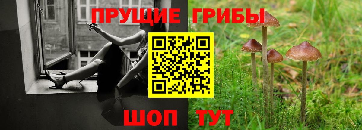 Псилоцибиновые грибы ЛСД  Электрогорск  Галлюциногенные грибы Magic Shrooms 