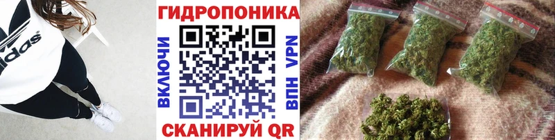 купить наркотики цена  ссылка на мегу вход  Конопля Ganja  Электрогорск 