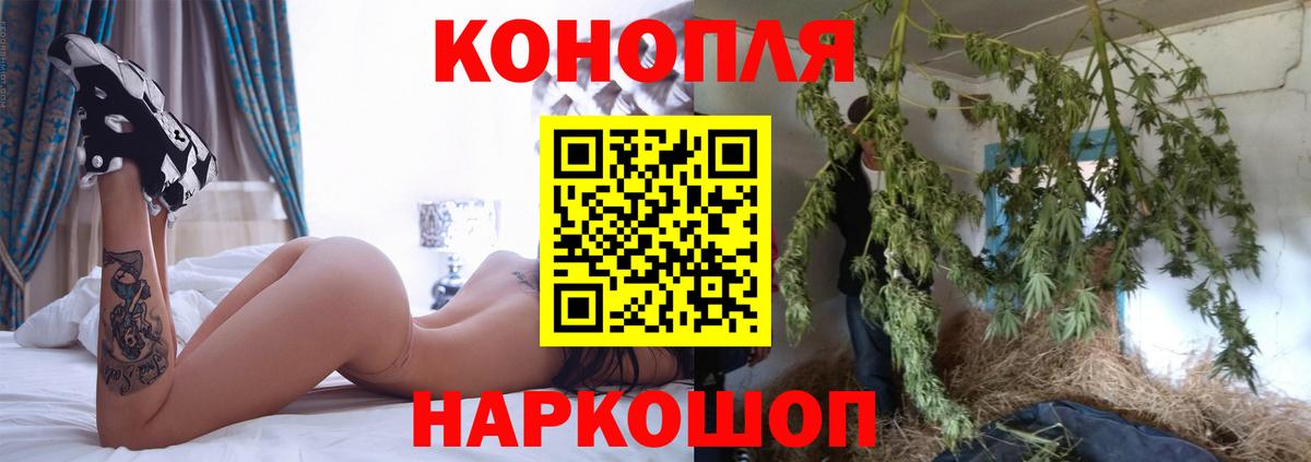 Шишки марихуана конопля  Конопля марихуана  Электрогорск  Марихуана White Widow  Вход с VPN 